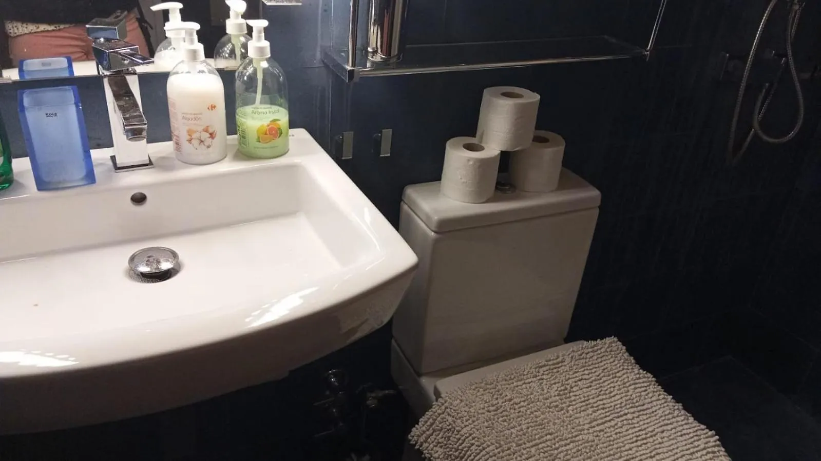 Homestay Habitacion En Casco Historico Apartment Seville